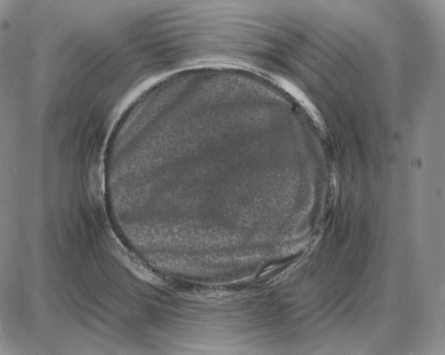 X0000087641372200705241229