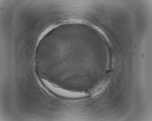 X0000087641373200705241229