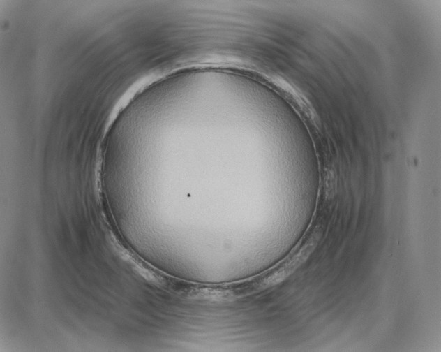 X0000087641374200705241229