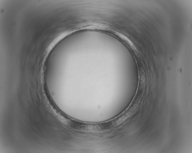 X0000087641375200705241229