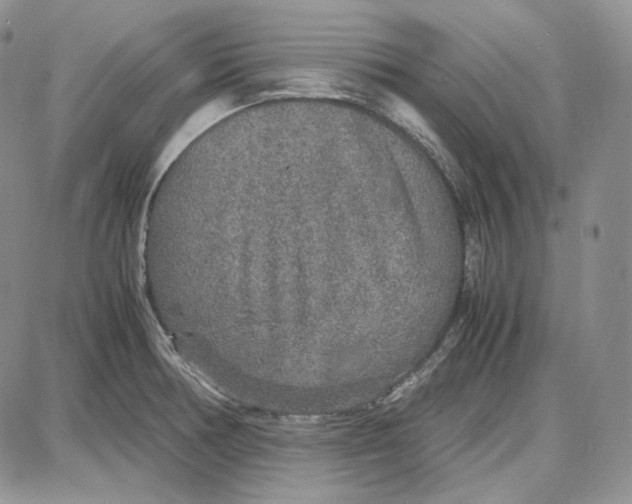 X0000087641378200705241229