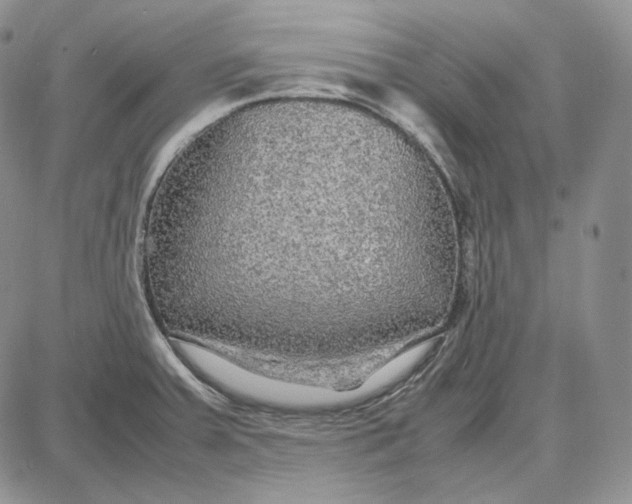 X0000087641379200705241229