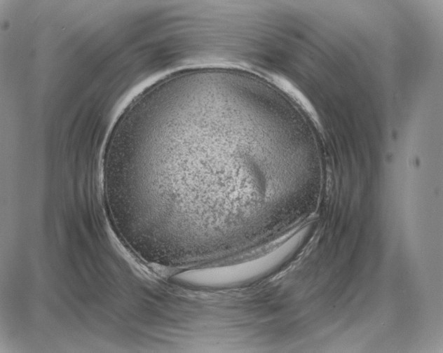 X0000087641380200705241229