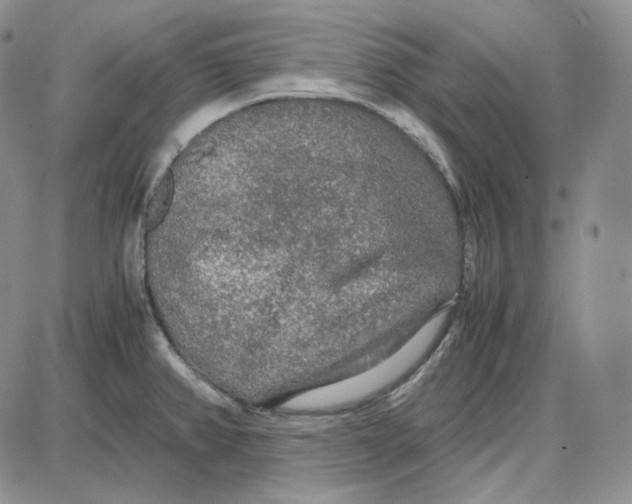 X0000087641382200705241229