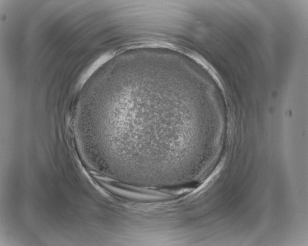 X0000087641385200705241229