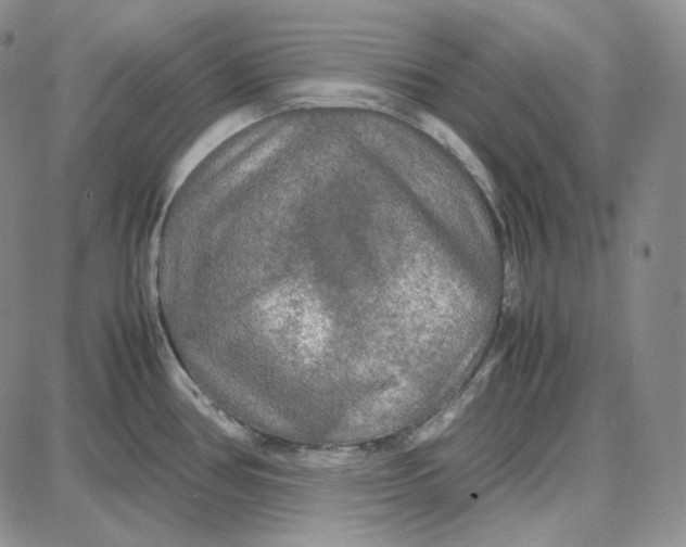 X0000087641386200705241229