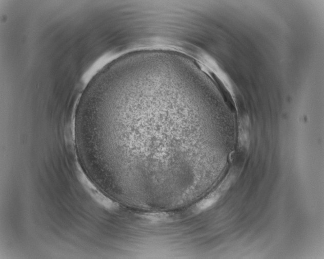 X0000087641388200705241229