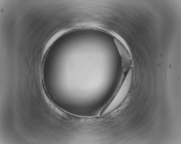 X0000087641389200705241229