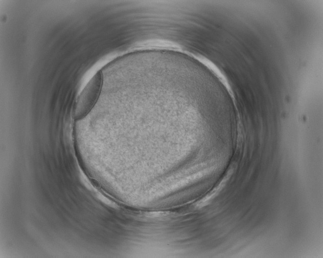 X0000087641390200705241229