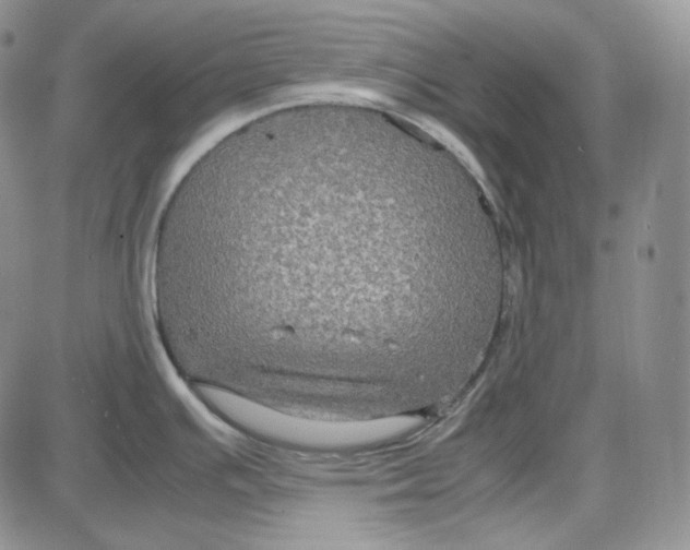 X0000087641391200705241229