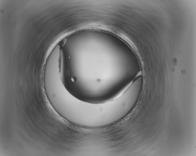 X0000087641392200705241229