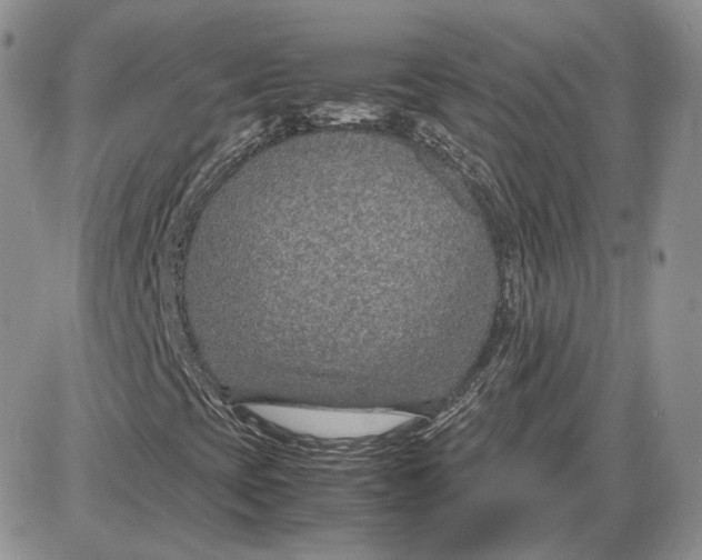 X0000087641393200705241228