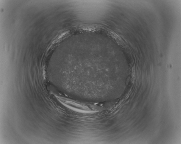 X0000087641394200705241228