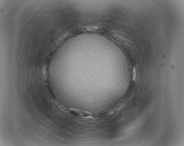 X0000087641395200705241228