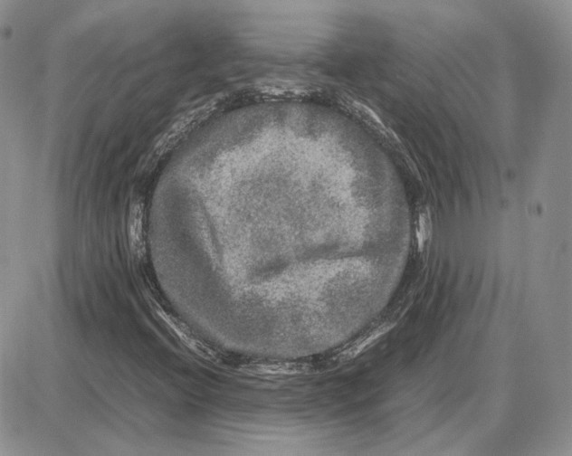 X0000087641396200705241228