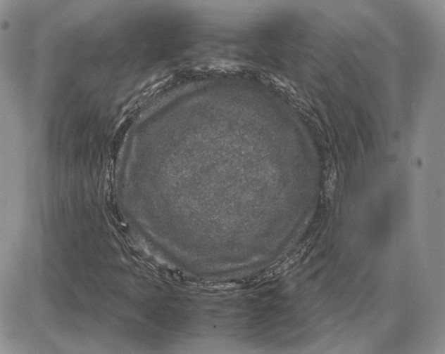 X0000087641397200705241228