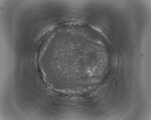 X0000087641399200705241228