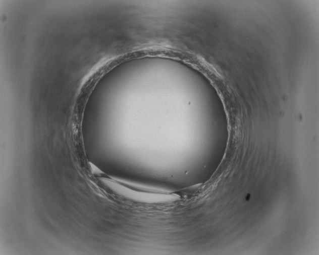 X0000087641400200705241228