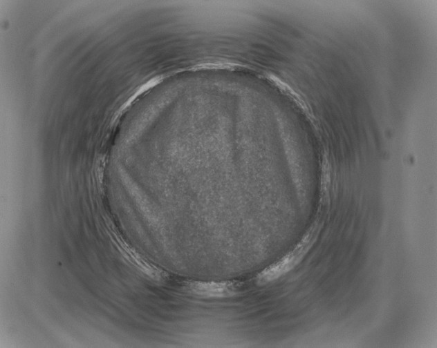 X0000087641401200705241228