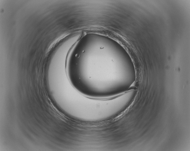 X0000087641402200705241228