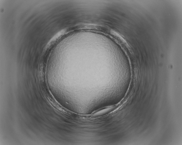 X0000087641403200705241228