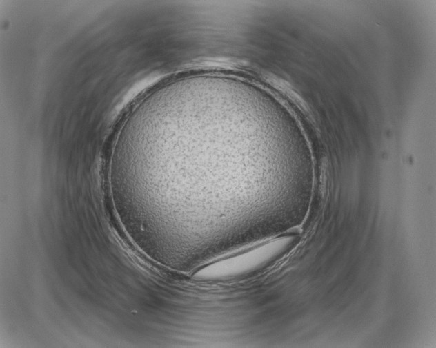 X0000087641404200705241228