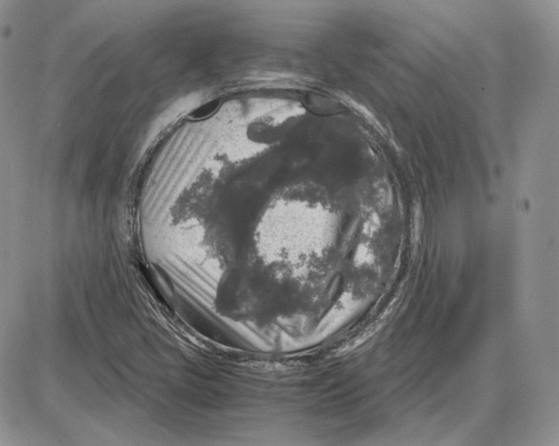 X0000087641405200705241228