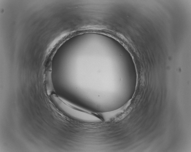 X0000087641406200705241228