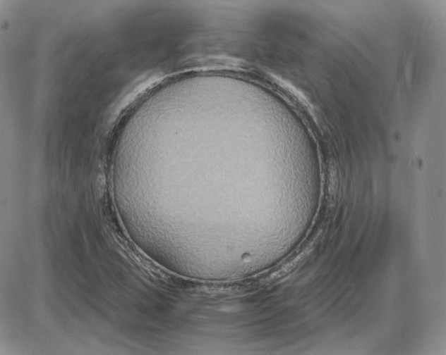 X0000087641407200705241228