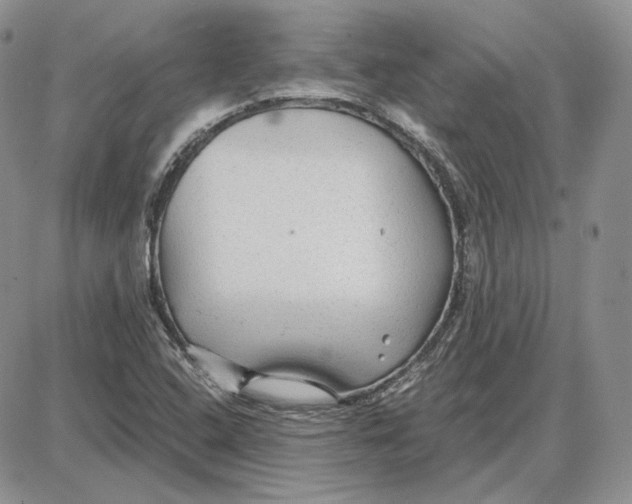 X0000087641408200705241228