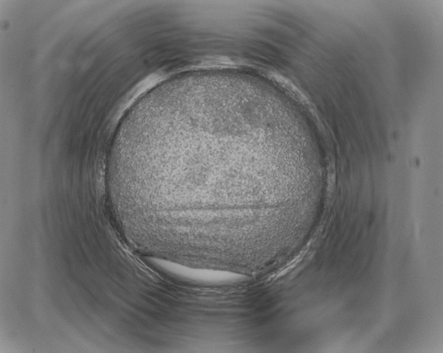 X0000087641409200705241228