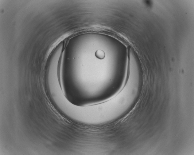 X0000087641410200705241228