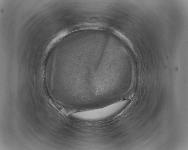 X0000087641411200705241228