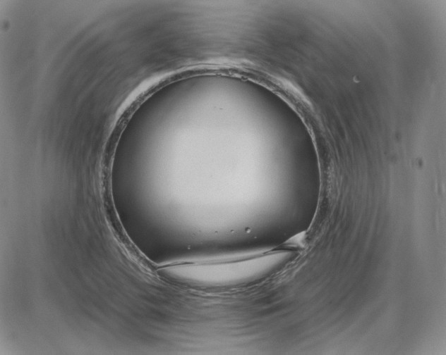 X0000087641412200705241228