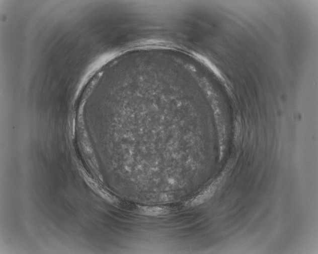 X0000087641413200705241228