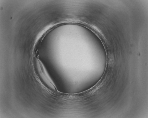 X0000087641414200705241228