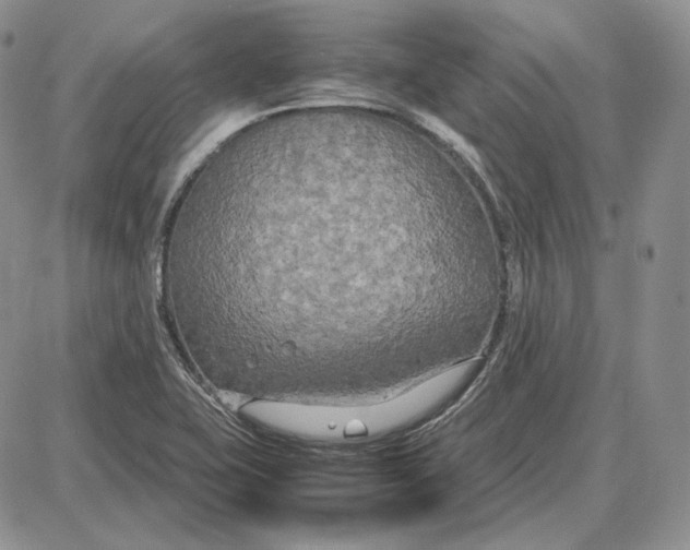 X0000087641415200705241228