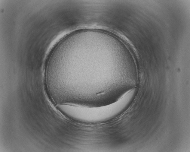 X0000087641416200705241228