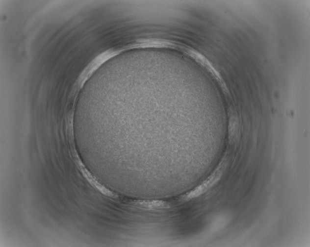 X0000087641417200705241228