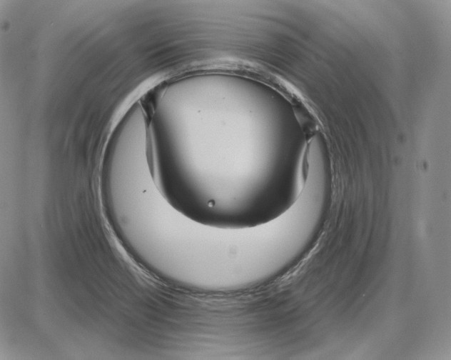 X0000087641418200705241228