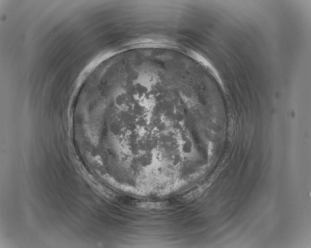 X0000087641419200705241228