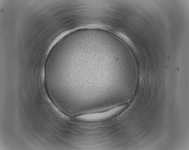 X0000087641420200705241228