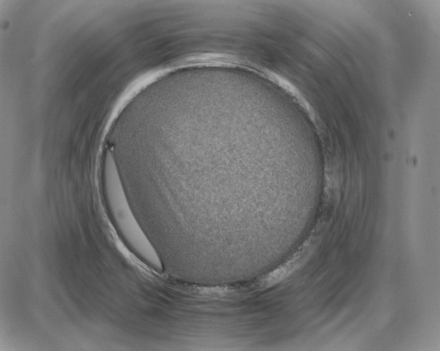 X0000087641421200705241228