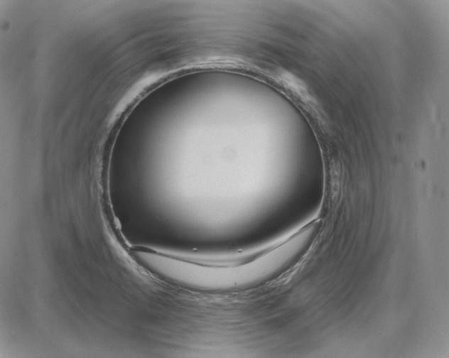 X0000087641422200705241228