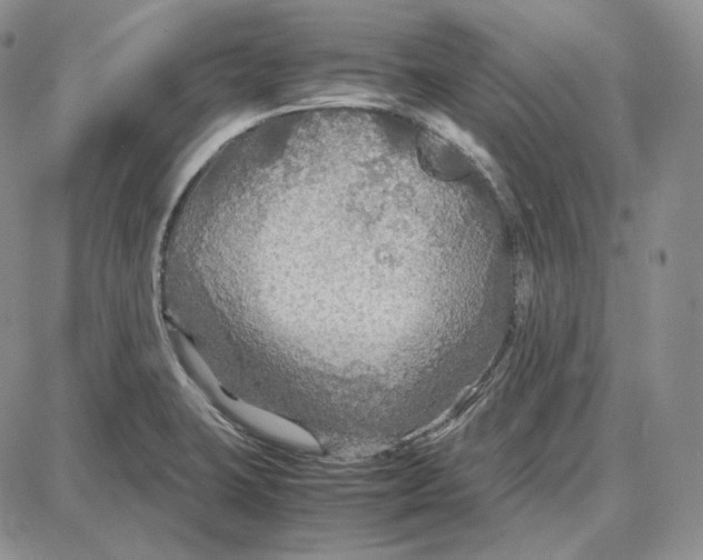 X0000087641423200705241228