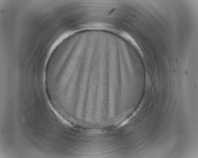 X0000087641424200705241228