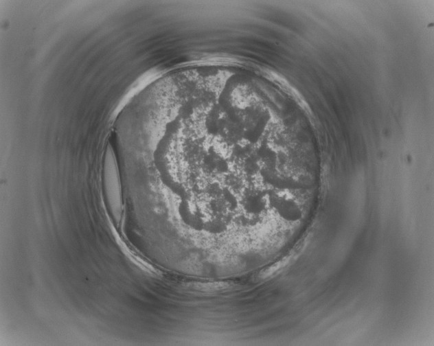 X0000087641425200705241228