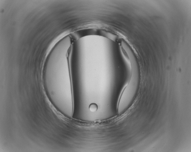 X0000087641426200705241228