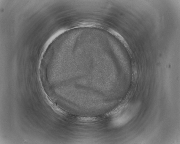 X0000087641427200705241228