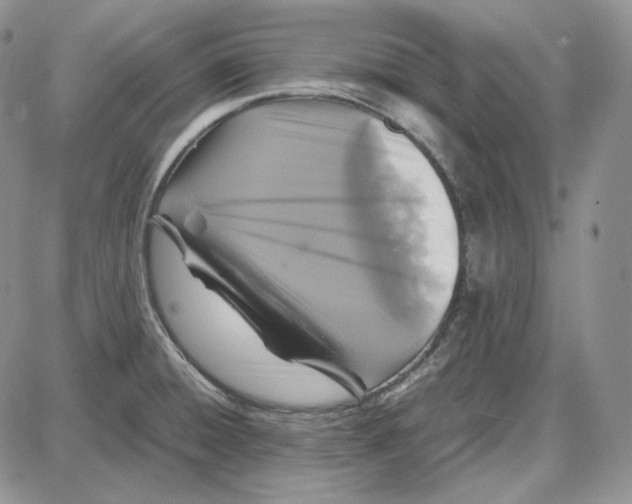 X0000087641428200705241228